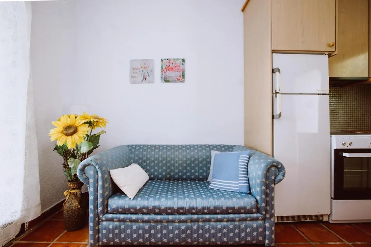 Forest House Near The Sea Sani  Apartment Sani (Chalkidiki)