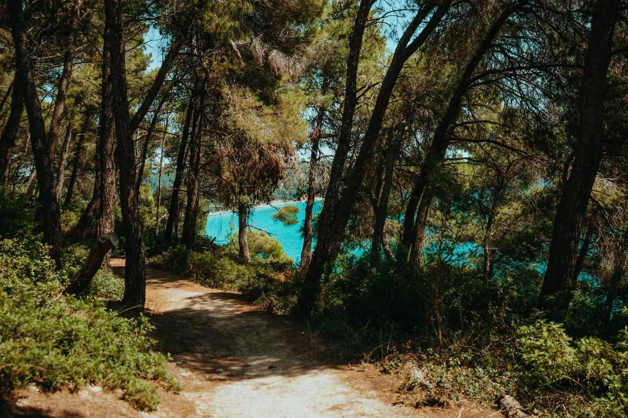 Forest House Near The Sea Sani  Sani (Chalkidiki)
