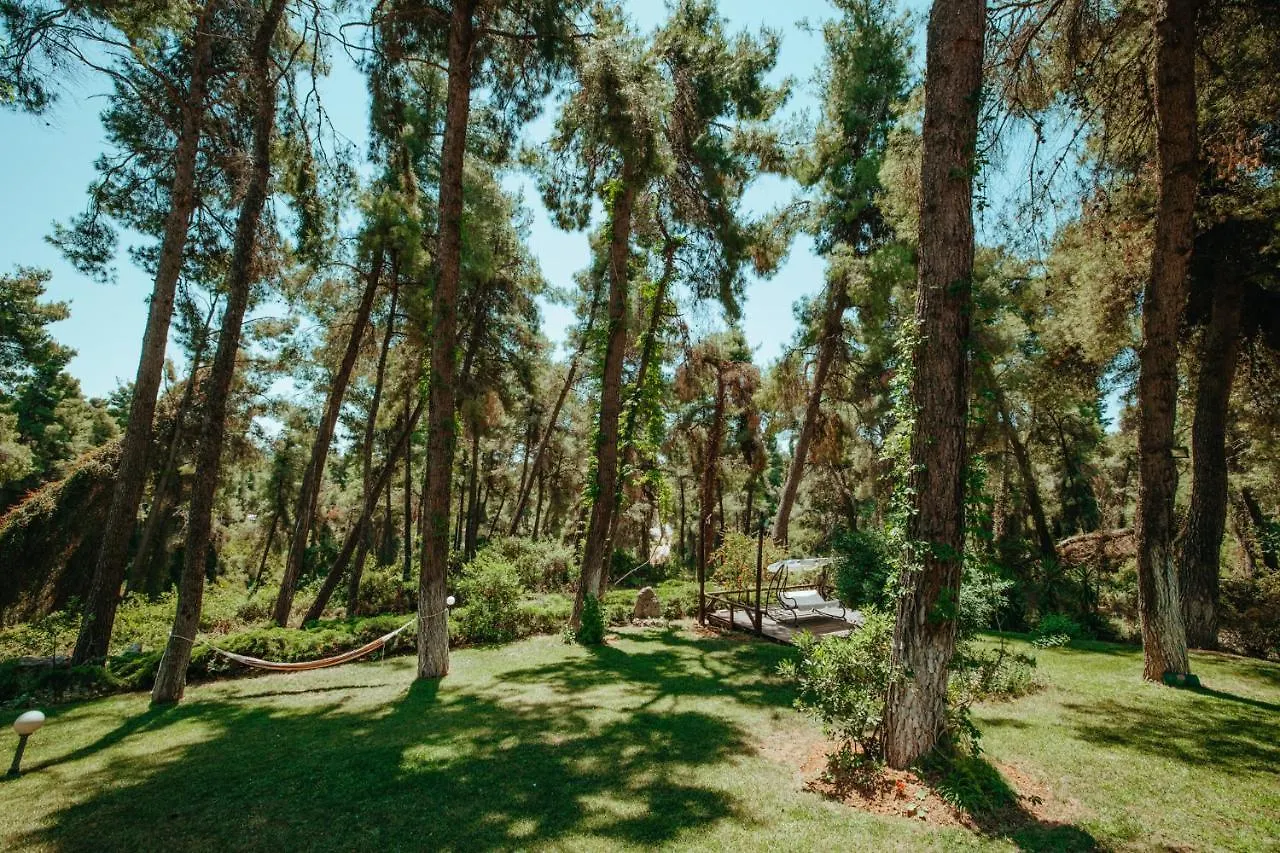 Forest House Near The Sea Sani  0*, Sani (Chalkidiki) Greece